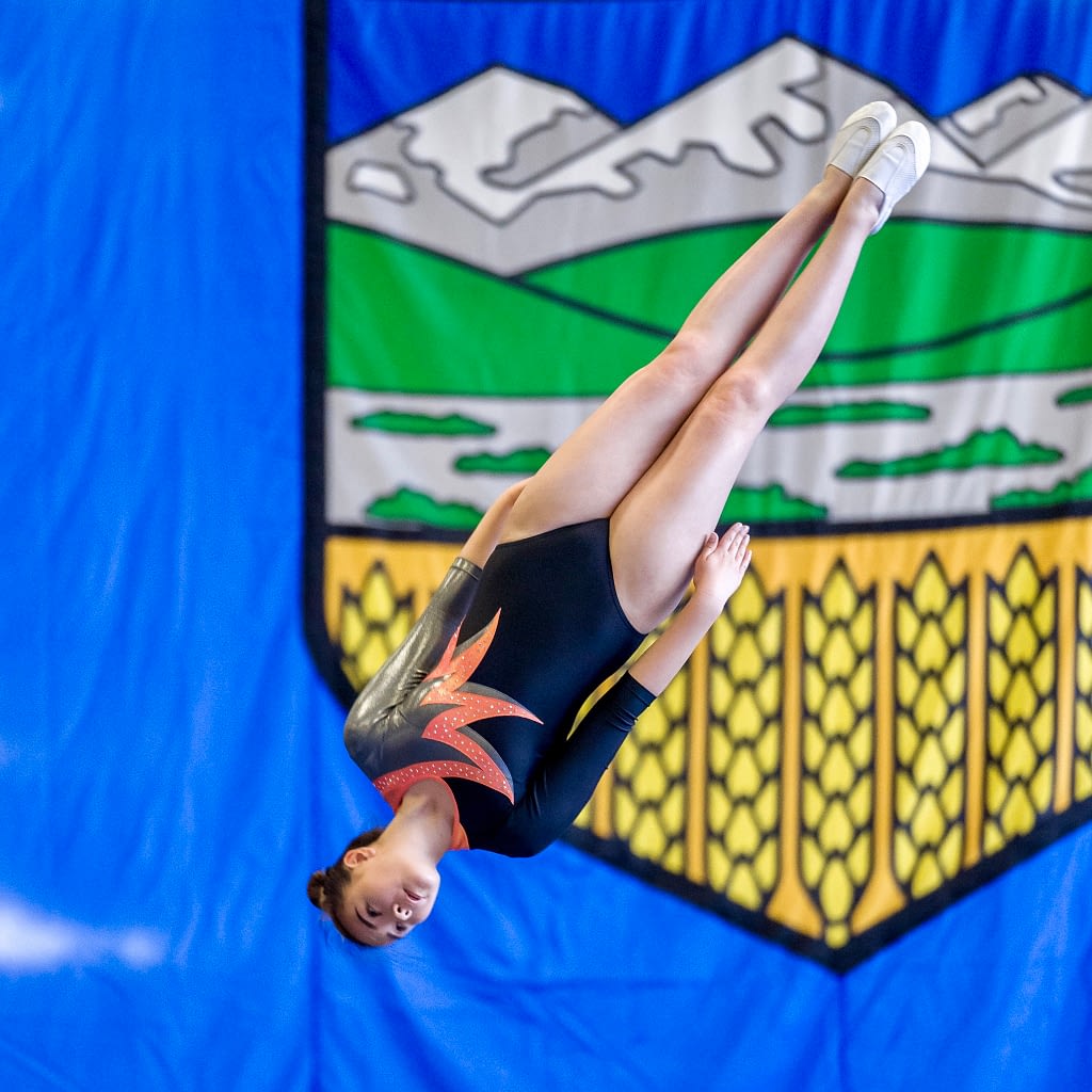 Competitive Tryouts Pegasus Gymnastics